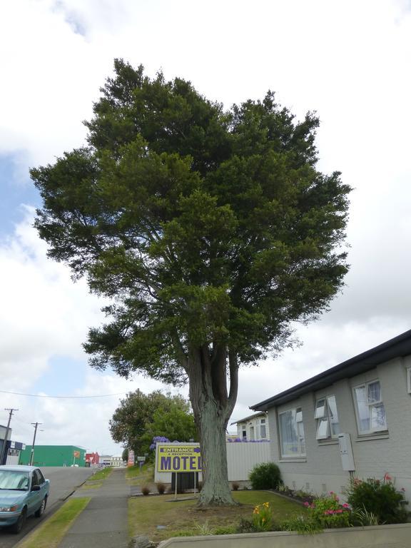Totara Lodge Motel Levin Eksteriør bilde